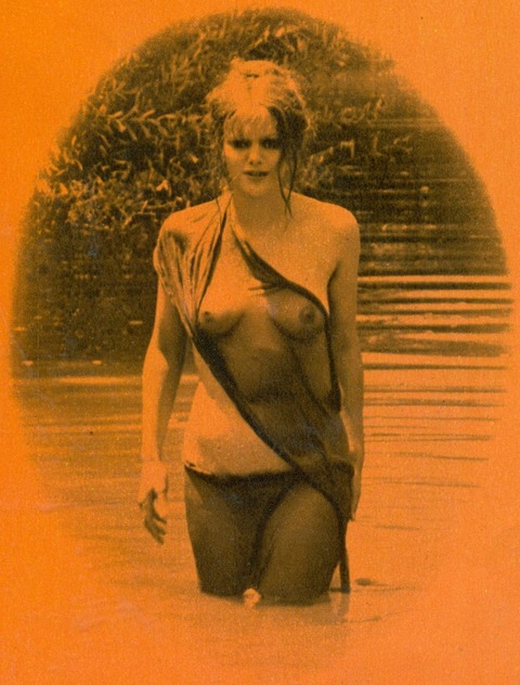 playmen(1975-7)