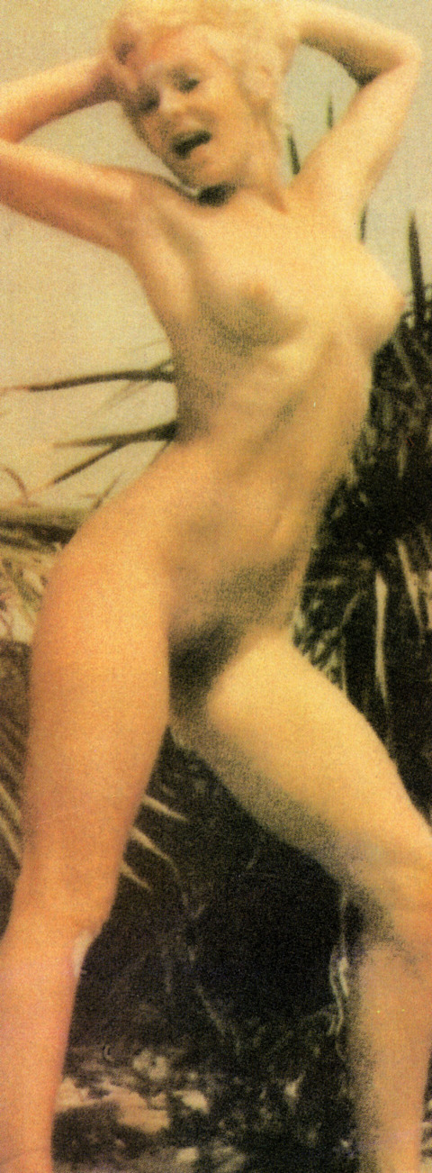 52690_joey_heatherton-CSL-006_123_725lo