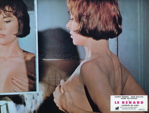 Sexy-Anne-Heywood-The-Fox-1967-Vintage-Lobby