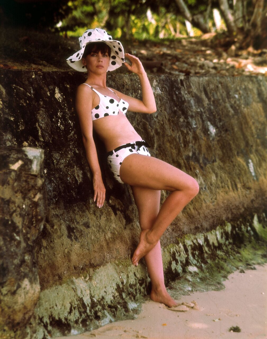 ３９ レスリー キャロン ビキニになった女優たち