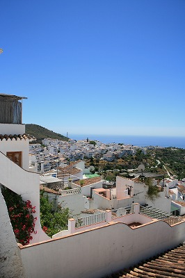 IMG_5543