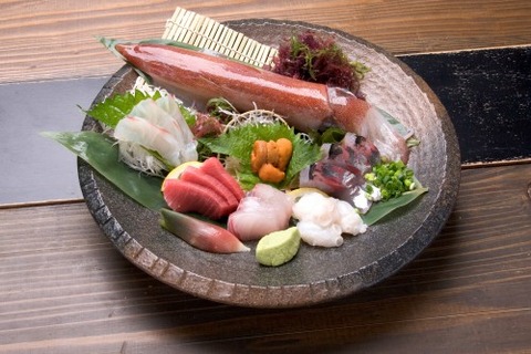 img0491-500x333