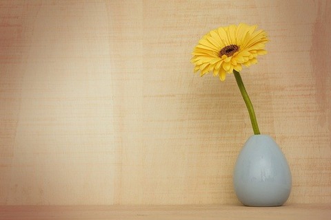 gerbera-flower-3186015_640