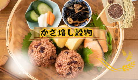 段落テキスト (5)
