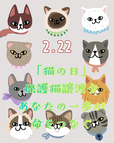 カラフル　かわいい　イラストレーション　猫の日　Instagramの投稿 (2)