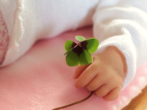 four-leaf-clover-1892660_640