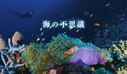 青 シンプル 海底 音響 Youtubeサムネイル (480 x 280 px)