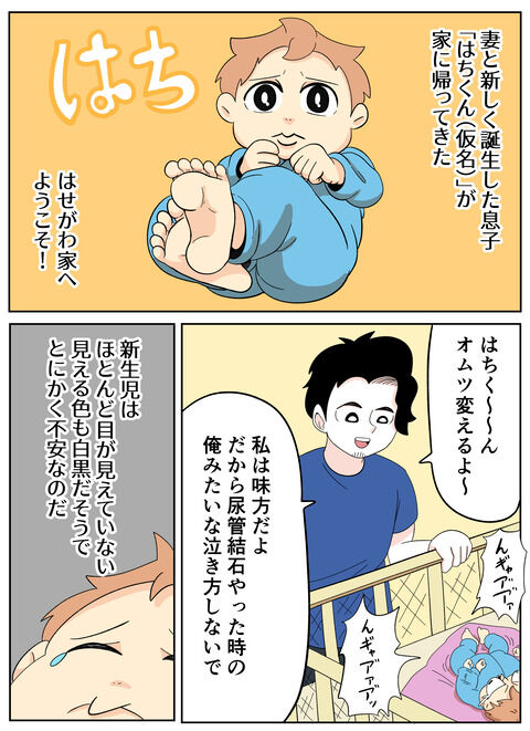 長谷川家 新メンバー「はちくん」