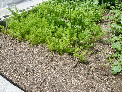 P1050178