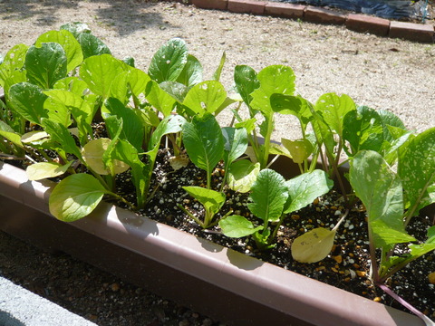 P1050173