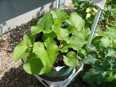 P1050182