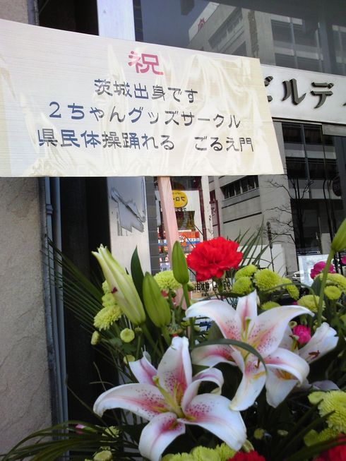 vlphoto003261
