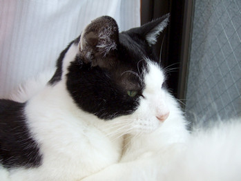 0104DSCF6782