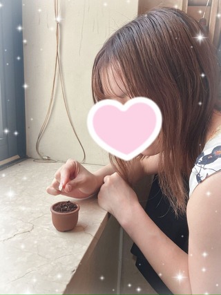 image3 (3)