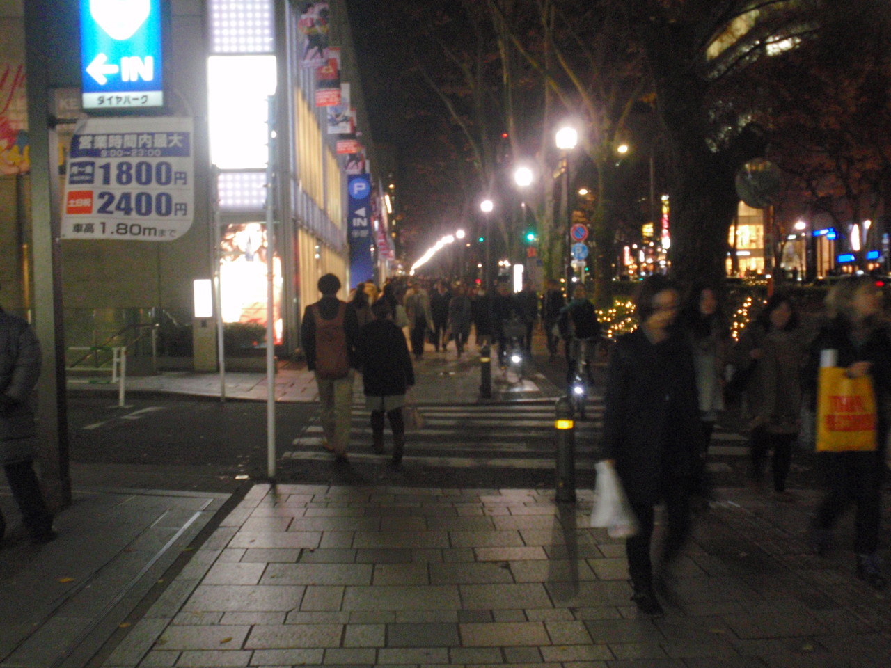 秋の表参道の夜景 まち 街 町 住人 秋の表参道の夜景 まち 街 町 住人