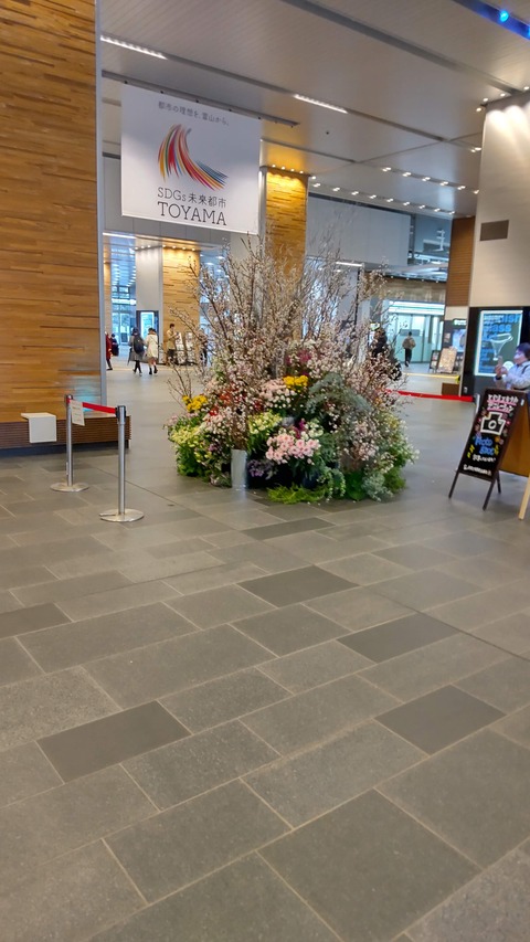 230111富山駅周辺スマホ (29)
