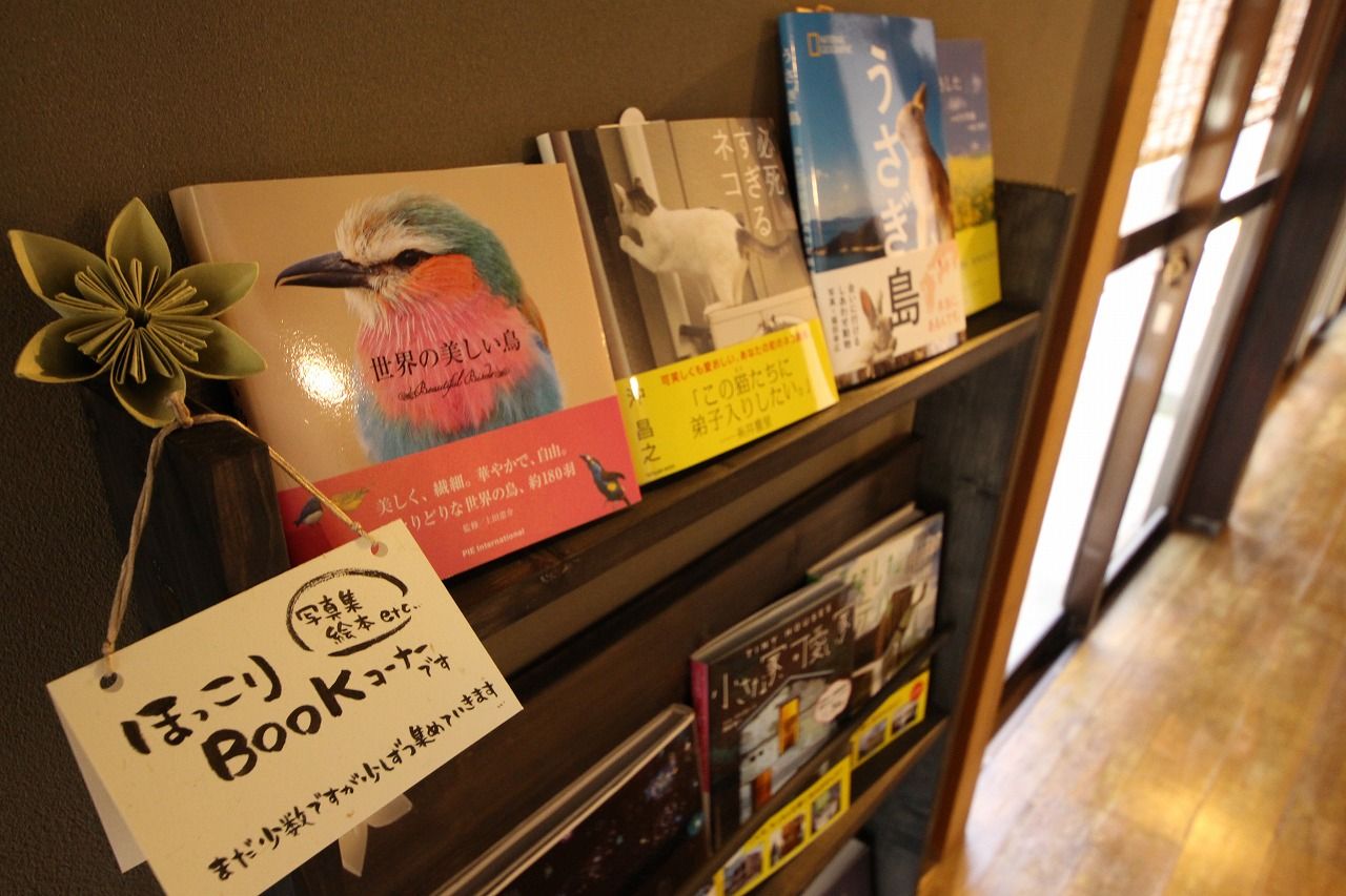 5月28日open Pastacafe おはち たけふのくらし 5月28日open Pastacafe おはち たけふのくらし