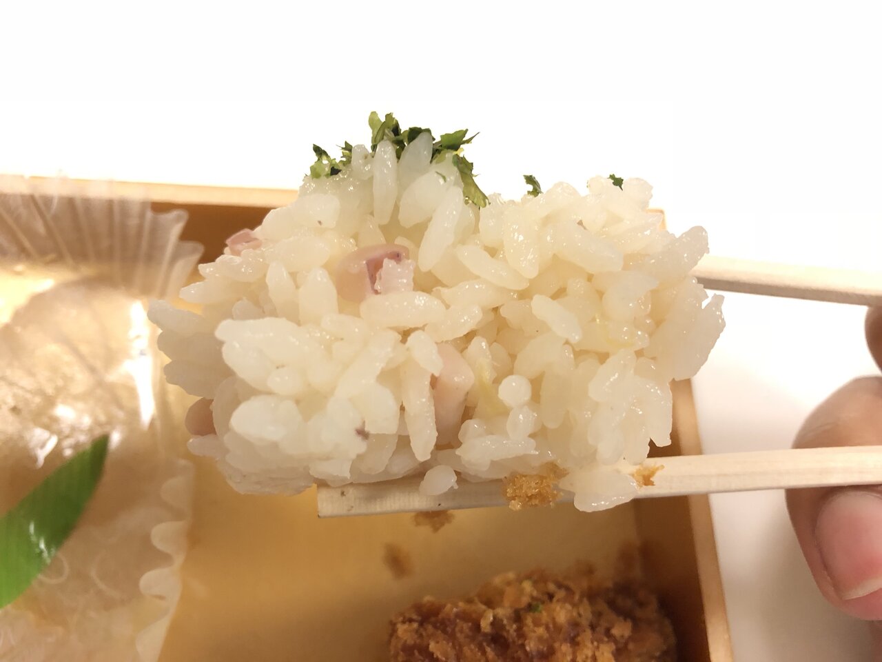 いかめしおにぎり弁当 いかめし阿部商店 駅弁を食べたら書くブログ 仮 いかめしおにぎり弁当 いかめし阿部商店 駅弁を食べたら書くブログ 仮