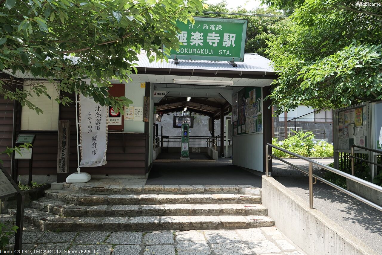 神奈川のアジサイ22 In 極楽寺駅周辺 町カメさんの写真便り