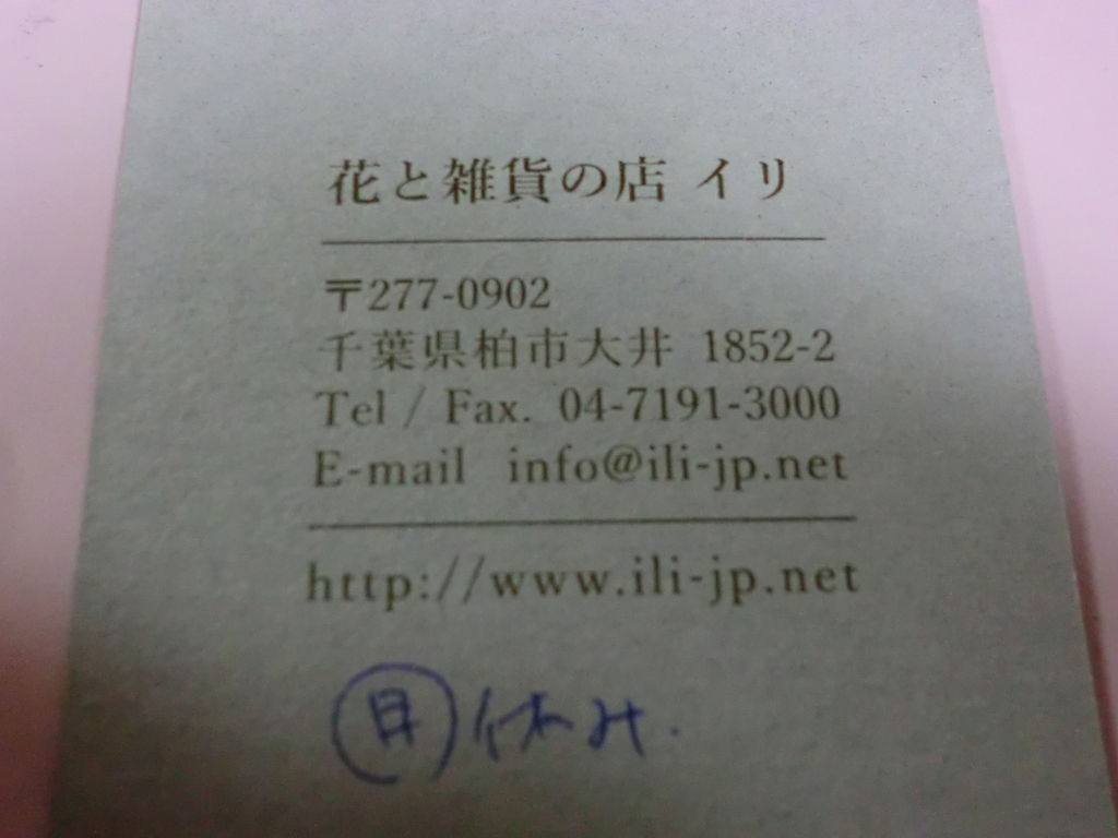 柏のお花屋さんili イリ 我が家の花日記