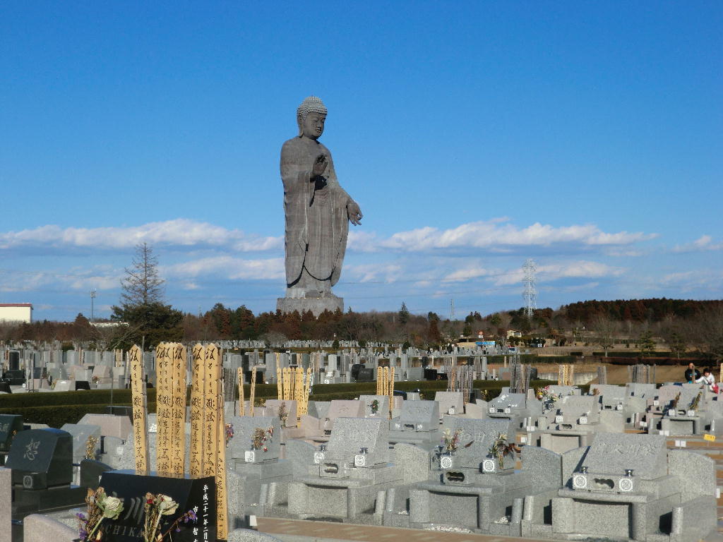 牛久大仏が見えるとこ 我が家の花日記