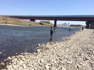 今年の多摩川マルタ釣り T Sa Sffc Sagamachi Fly Fishing Club さがまちフライフィッシングクラブ