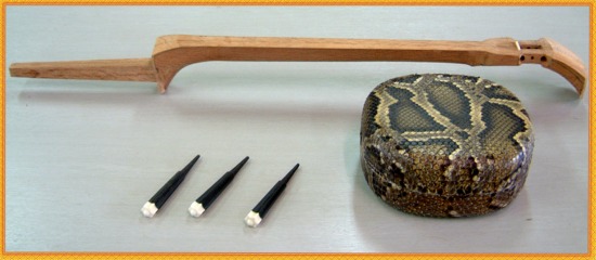 弦楽器工房 まちだ屋 手作り楽器