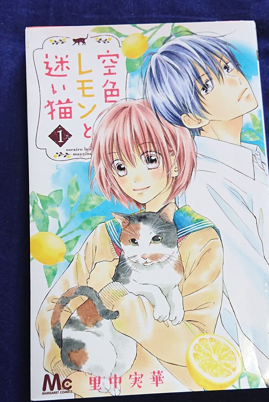 ひろしま本がたり49 空色レモンと迷い猫 ひろしま街がたり ひろしま本がたり49 空色レモンと迷い猫 ひろしま街がたり