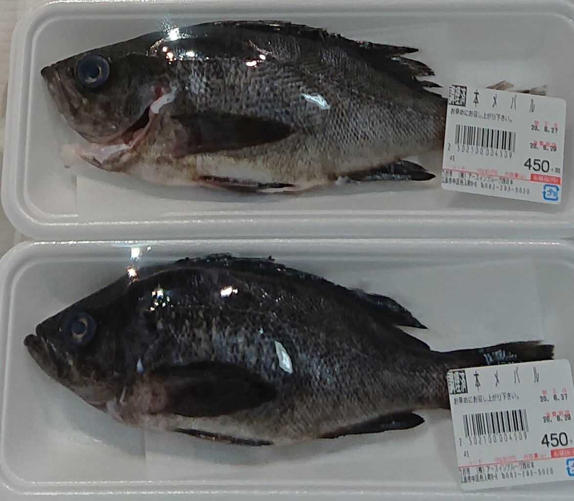 広島は都会か 魅力的な街か 第１部 Vs東京 その６３ 海編 七大海の幸 ひろしま街がたり