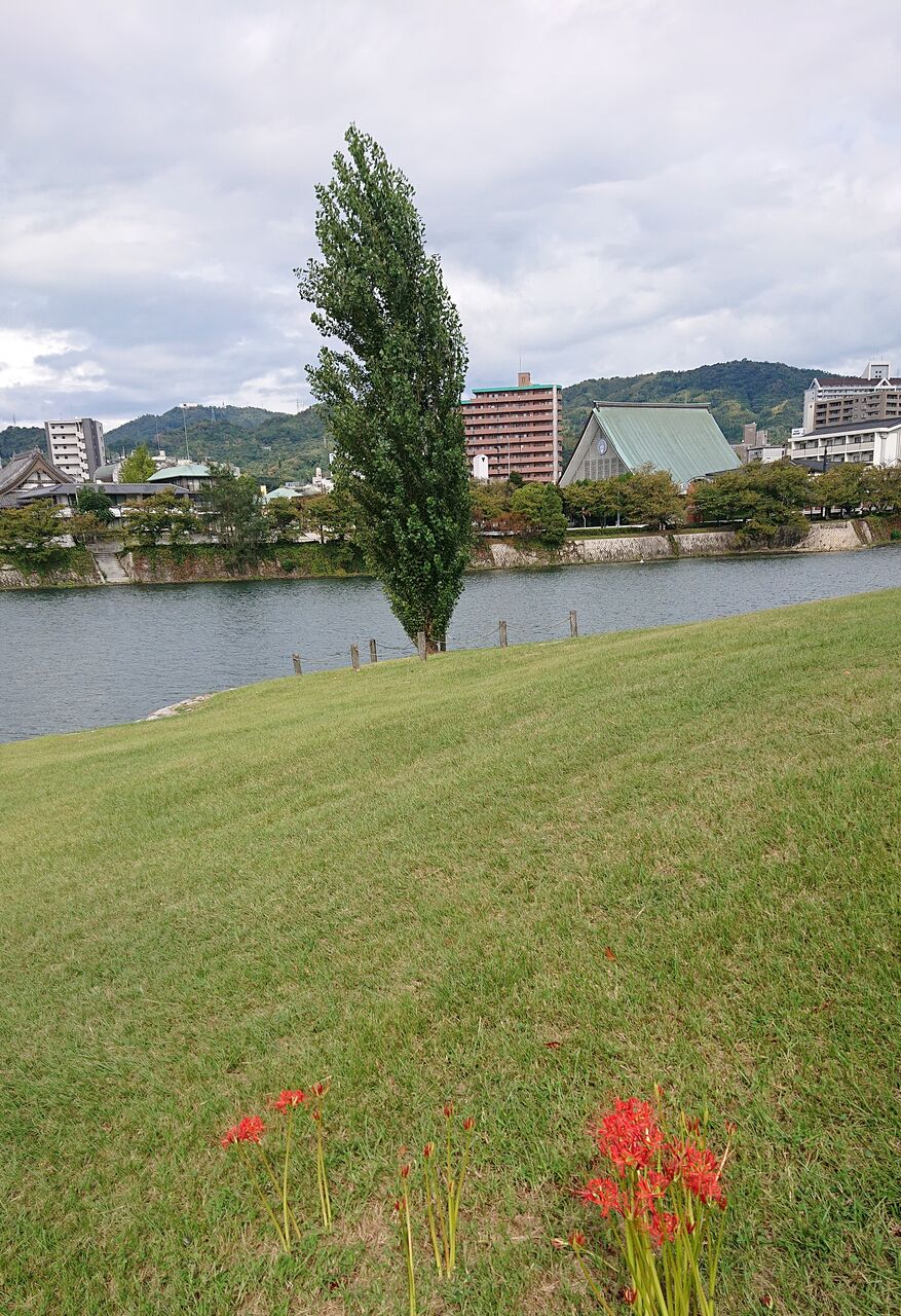 ひろしま街がたり
ひろしま本がたり13(『都市を編集する川』)
コメント