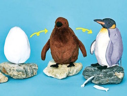king_penguin_3_change_stuffed_animal