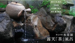 green_spring_open_tea_the_bath
