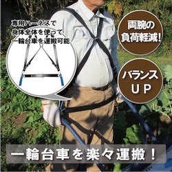 rakuyo