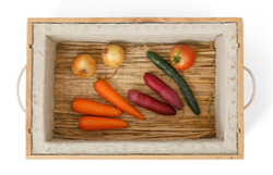 small_vegetable_warehouse