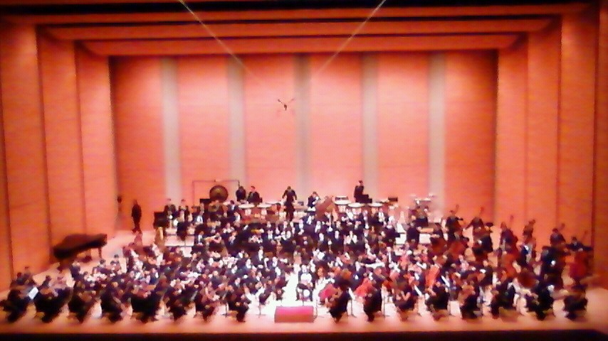 Violinist 島田真千子 〜音楽家の気持ち〜