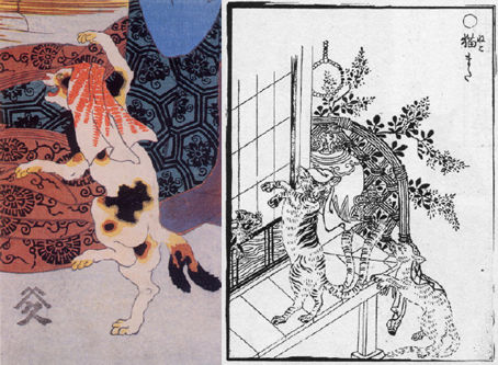 オカルト 猫にまつわる 都市伝説 Uma速報 オカルト 猫にまつわる 都市伝説 Uma速報