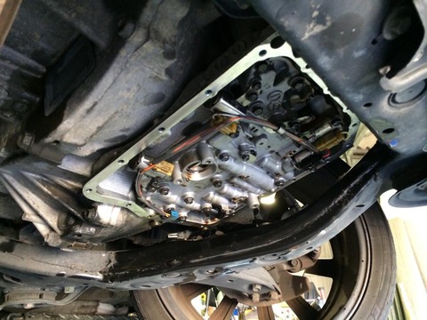 1237515_738591902882544_6224740692229212841_n