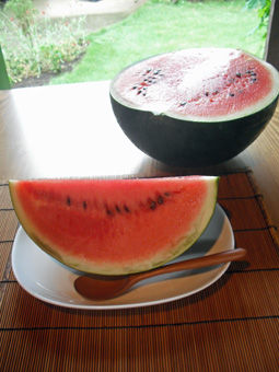 DSCF0628s