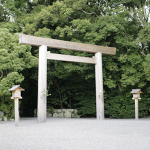 _MG_4891