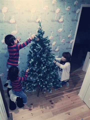 2012-12-08-17-57-09_deco (Small)