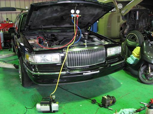 d209c55c.jpg