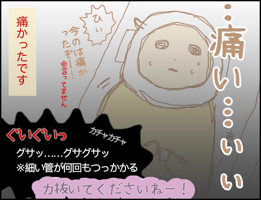 排卵誘発剤無しの人工授精 痛みと子宮後屈 ひつじ日記