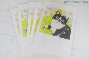 ポストカード ネコ 猫 ねこ キャット イラスト 絵