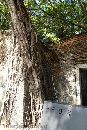 P1000467