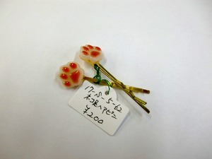 CIMG2570
