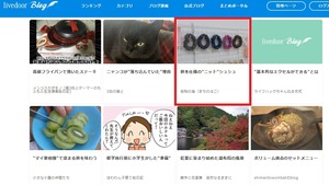 28Oshi