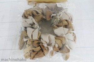 6obachin