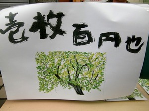 CIMG5520