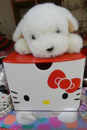 1Sakuranbo3