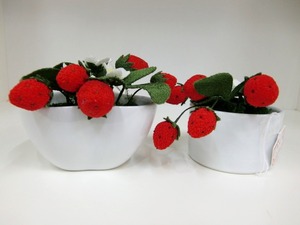 CIMG6584